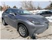 2021 Lexus NX 300 Base (Stk: 16146) in Newmarket - Image 7 of 33