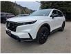 2025 Honda CR-V Hybrid EX-L (Stk: 55958) in Castlegar - Image 3 of 18