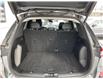 2023 Ford Escape Platinum (Stk: 251635) in Kingston - Image 20 of 21