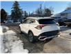 2024 Kia Sportage (Stk: 260097) in Kingston - Image 5 of 21 2024 Kia Sportage (Stk: 260097) in Kingston - Image 5 of 21