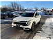 2024 Kia Sportage (Stk: 260097) in Kingston - Image 6 of 21 2024 Kia Sportage (Stk: 260097) in Kingston - Image 6 of 21