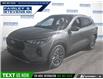 2026 Ford Escape PHEV (Stk: 28084) in Dartmouth - Image 1 of 24