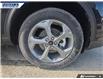 2025 Ford Escape ST-Line (Stk: 27598) in Dartmouth - Image 6 of 24