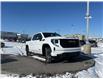 2026 GMC Sierra 1500 Elevation (Stk: TG241302) in Calgary - Image 8 of 25