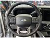 2026 Ford F-350 Platinum (Stk: 26026) in Melfort - Image 20 of 22