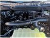 2026 Ford F-150 XLT (Stk: F1422) in Miramichi - Image 13 of 13