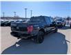 2026 Ford F-150 XLT (Stk: F1420) in Miramichi - Image 5 of 13