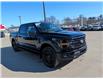 2026 Ford F-150 XLT (Stk: F1420) in Miramichi - Image 7 of 13