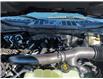 2026 Ford F-150 XLT (Stk: F1420) in Miramichi - Image 13 of 13