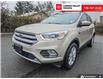 2018 Ford Escape SEL (Stk: TC036672A) in Courtenay - Image 8 of 25