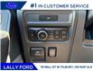 2026 Ford F-150 Tremor (Stk: LFFF01669) in Tilbury - Image 9 of 15