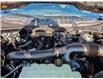 2026 Ford F-150 XLT (Stk: F1421) in Miramichi - Image 13 of 13