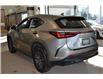 2024 Lexus NX 350h Base (Stk: 6978B) in Kingston - Image 2 of 11