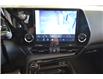 2024 Lexus NX 350h Base (Stk: 6978B) in Kingston - Image 7 of 11