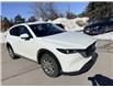 2022 Mazda CX-5 GS (Stk: 16149) in Newmarket - Image 7 of 21