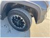 2026 Toyota Tundra SR5 (Stk: X053622) in Cranbrook - Image 12 of 19