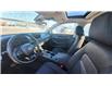 2024 Honda Civic EX (Stk: TL1862) in Saint John - Image 12 of 13