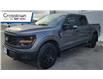 2024 Ford F-150 STX (Stk: 69771A) in Sudbury - Image 1 of 20