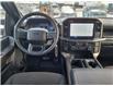 2024 Ford F-150 STX (Stk: 69771A) in Sudbury - Image 14 of 20