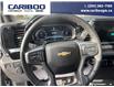 2025 Chevrolet Silverado 1500 LT (Stk: 9987) in Williams Lake - Image 14 of 28