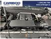 2025 Chevrolet Colorado Z71 (Stk: 9992) in Williams Lake - Image 10 of 27