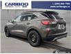 2021 Ford Escape SEL (Stk: 26T093A) in Williams Lake - Image 4 of 24