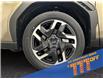2026 Subaru Forester Limited (Stk: 300264) in Lethbridge - Image 14 of 15