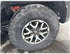2023 Ford F-150 Raptor (Stk: 25115A) in Espanola - Image 16 of 24