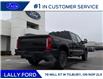 2026 Ford F-250 Platinum (Stk: LFFF01563) in Tilbury - Image 3 of 15