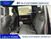 2026 Ford F-250 Platinum (Stk: LFFF01563) in Tilbury - Image 15 of 15