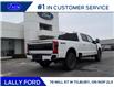 2026 Ford F-250 Platinum (Stk: LFFF01658) in Tilbury - Image 3 of 15