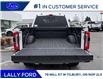 2026 Ford F-250 Platinum (Stk: LFFF01658) in Tilbury - Image 5 of 15