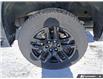 2024 Chevrolet Silverado 1500 LT Trail Boss (Stk: AN6405) in Thunder Bay - Image 6 of 25