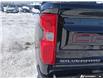 2024 Chevrolet Silverado 1500 LT Trail Boss (Stk: AN6405) in Thunder Bay - Image 11 of 25