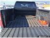 2024 Chevrolet Silverado 1500 LT Trail Boss (Stk: AN6405) in Thunder Bay - Image 12 of 25