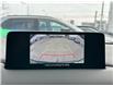2025 Mazda CX-5 Sport Design (Stk: W6974A) in Cobourg - Image 19 of 29
