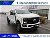 2026 Ford F-250 Platinum (Stk: LFFF01638) in Tilbury - Image 1 of 15
