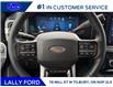 2026 Ford F-250 Platinum (Stk: LFFF01638) in Tilbury - Image 11 of 15