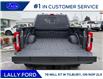 2026 Ford F-250 Platinum (Stk: LFFF01549) in Tilbury - Image 5 of 15