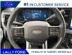 2026 Ford F-250 Platinum (Stk: LFFF01549) in Tilbury - Image 11 of 15