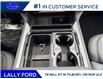 2026 Ford F-250 Platinum (Stk: LFFF01549) in Tilbury - Image 14 of 15