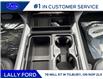 2026 Ford F-250 Platinum (Stk: LFFF01562) in Tilbury - Image 14 of 15