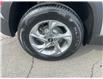 2022 Hyundai Tucson ESSENTIAL (Stk: 260384A) in Ottawa - Image 23 of 24 2022 Hyundai Tucson ESSENTIAL (Stk: 260384A) in Ottawa - Image 23 of 24