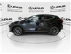 2025 Lexus NX 350  (Stk: 14U7308) in Markham - Image 6 of 28