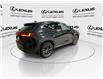 2025 Lexus NX 350  (Stk: 14U7308) in Markham - Image 9 of 28