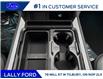 2026 Ford F-250 Platinum (Stk: LFFF01632) in Tilbury - Image 14 of 15
