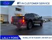 2026 Ford F-250 Platinum (Stk: LFFF01550) in Tilbury - Image 3 of 14