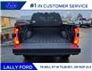 2026 Ford F-250 Platinum (Stk: LFFF01550) in Tilbury - Image 5 of 14