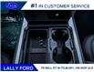 2026 Ford F-250 Platinum (Stk: LFFF01550) in Tilbury - Image 13 of 14