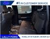 2026 Ford F-250 Platinum (Stk: LFFF01550) in Tilbury - Image 14 of 14